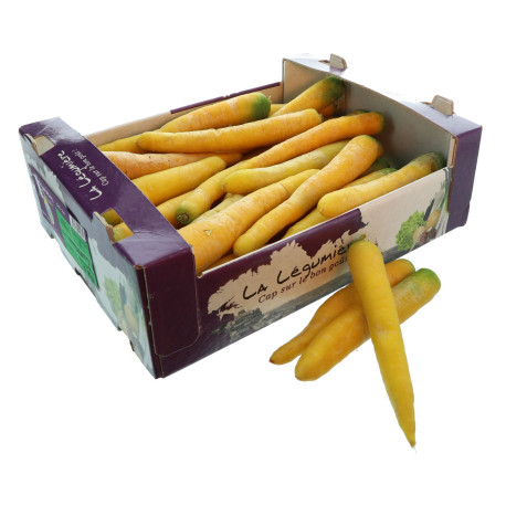 BIO CAROTTE JAUNE 5KG